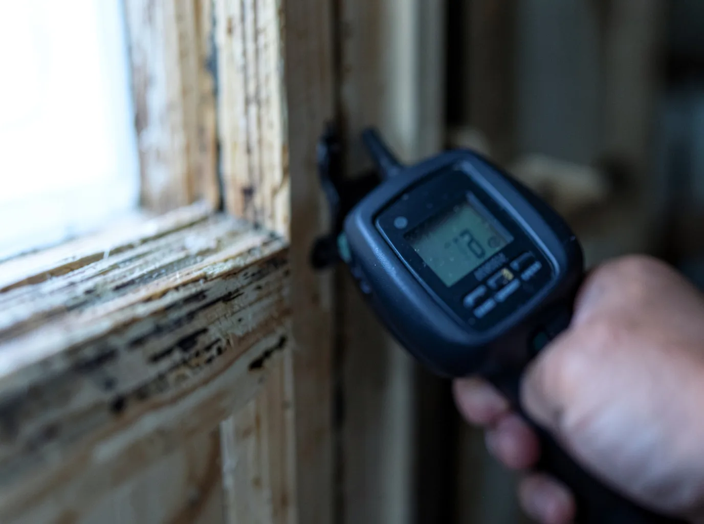 Water Damage Restoration Moose, WY FAQs